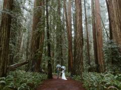 Launching a Structured Blog in Kirby