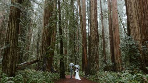 Launching a Structured Blog in Kirby