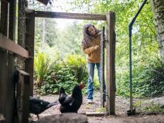 Performance Baseline for Content Pages